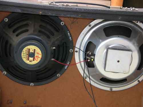 alpep_55404_twin-12c.jpg