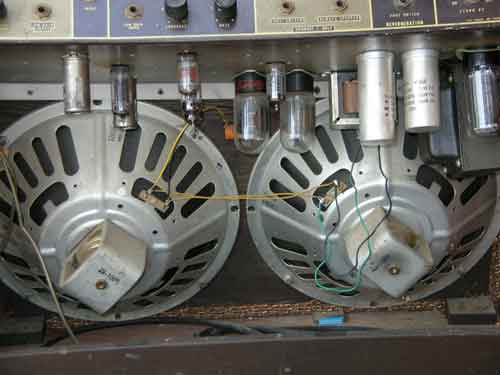alpep_71840_mag3.jpg